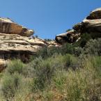 Natural Bridges National Monument /   